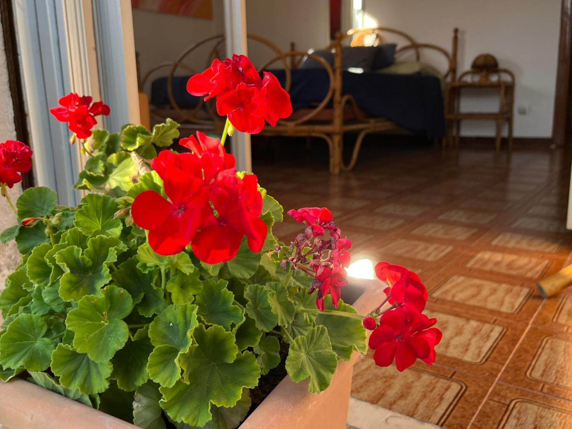A Casa Di Mara Διαμέρισμα Mondello Εξωτερικό φωτογραφία