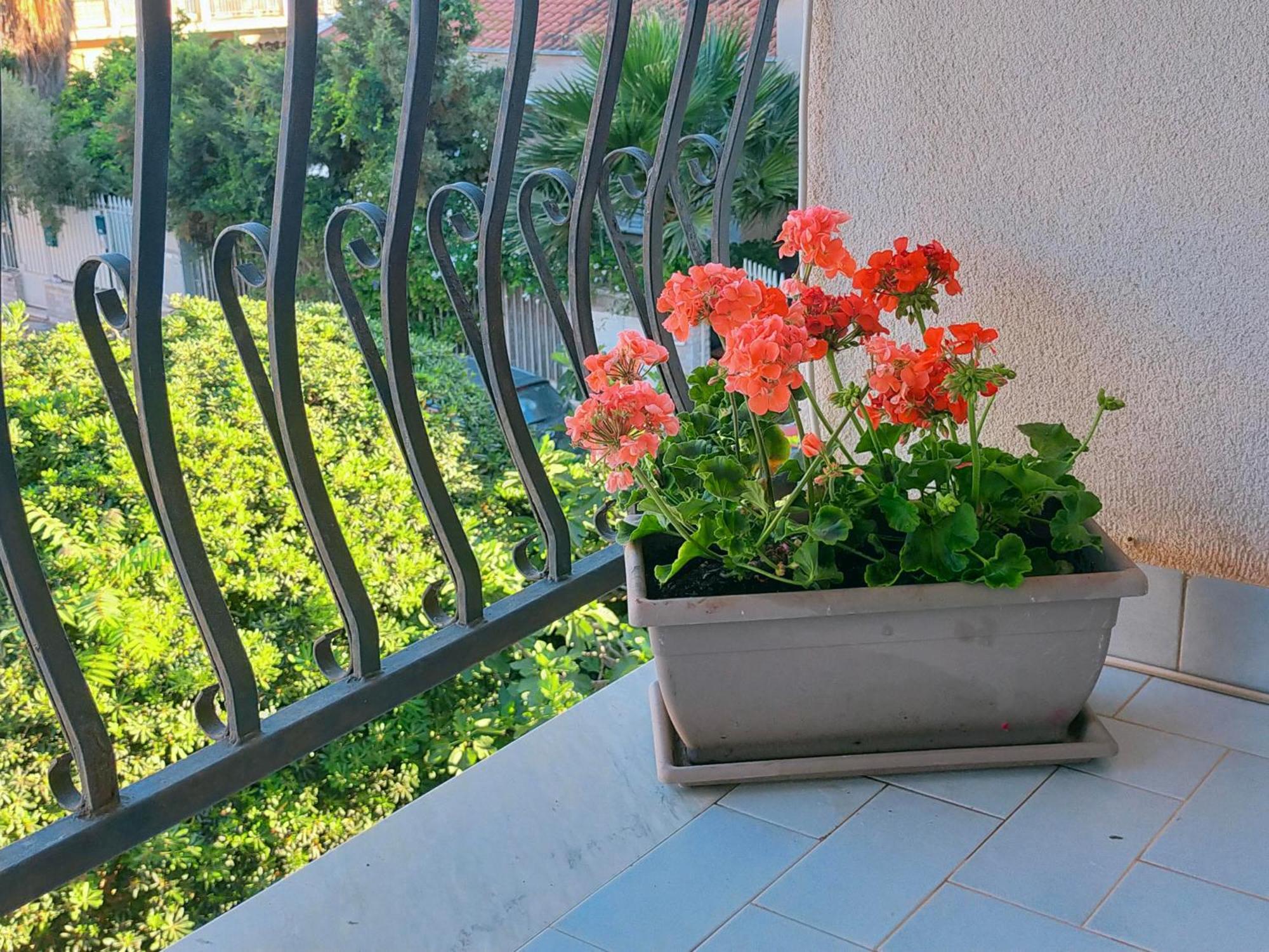 A Casa Di Mara Διαμέρισμα Mondello Εξωτερικό φωτογραφία